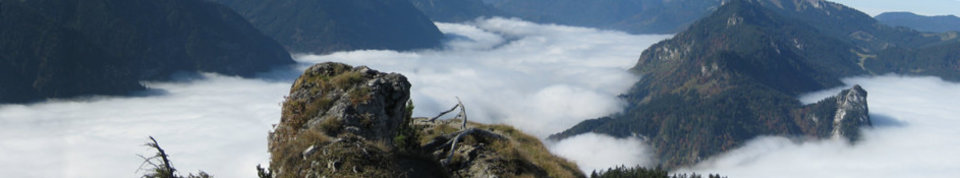Ammergauer Alpen am Labereck